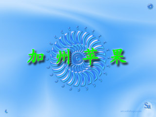 01.bmp